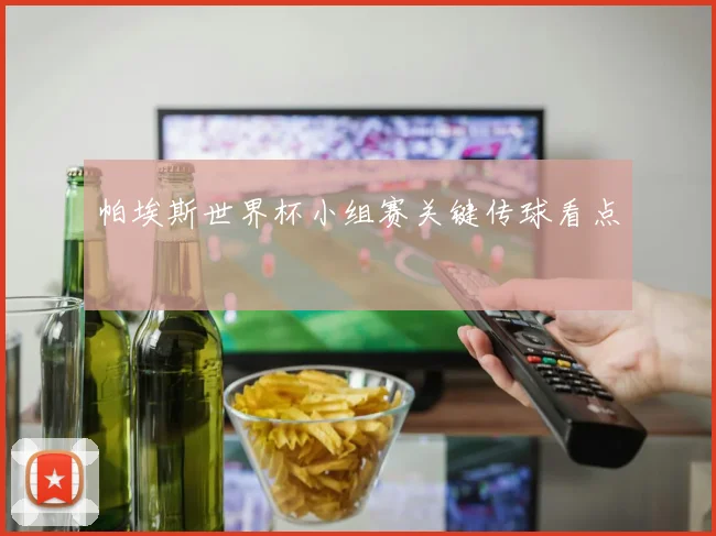 帕埃斯世界杯小组赛关键传球看点