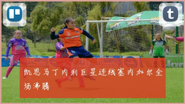 凯恩马丁内利巨星连线塞内加尔全场沸腾