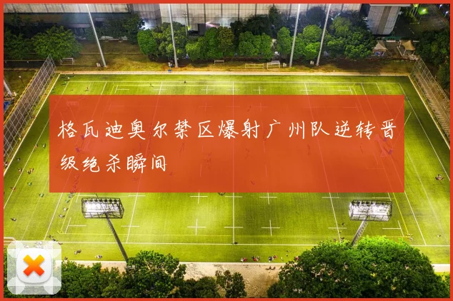 格瓦迪奥尔禁区爆射广州队逆转晋级绝杀瞬间