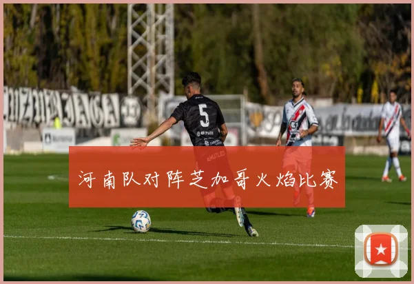 河南队对阵芝加哥火焰比赛
