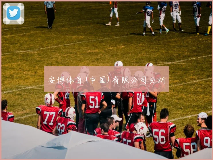 安博体育(中国)有限公司分析