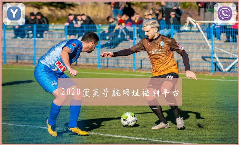 2020菠菜导航网址福利平台