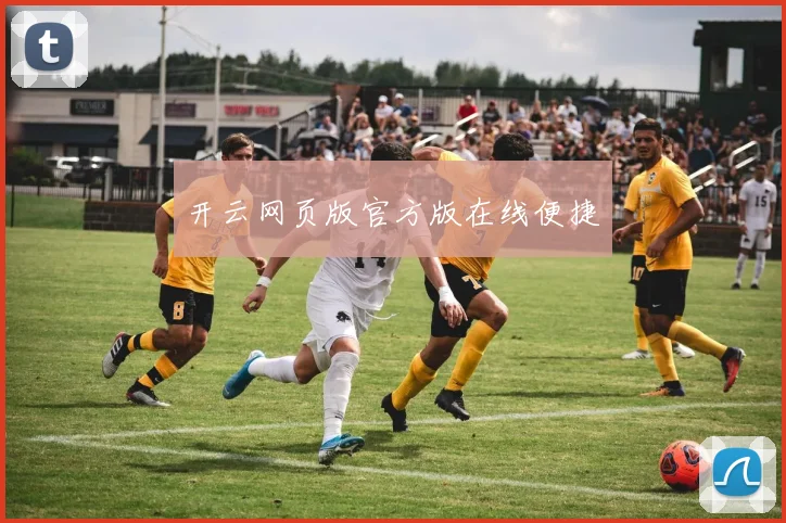 开云网页版官方版在线便捷