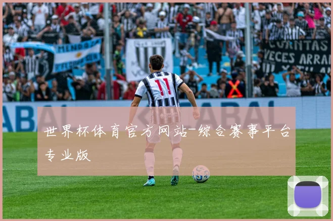 世界杯体育官方网站-综合赛事平台专业版