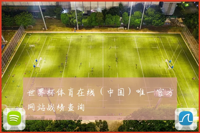 世界杯体育在线（中国）唯一官方网站战绩查询