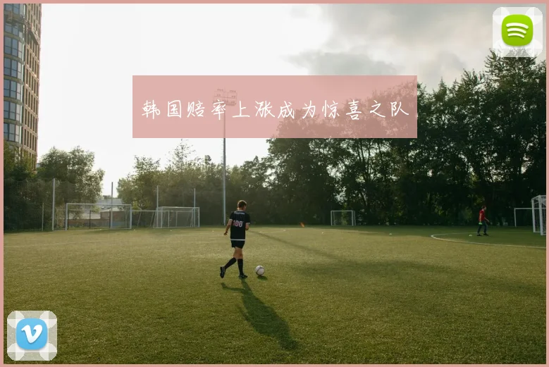 韩国赔率上涨成为惊喜之队