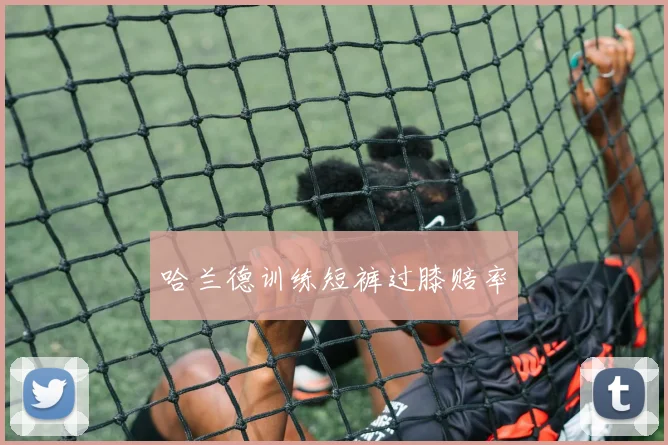 哈兰德训练短裤过膝赔率