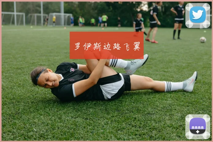 罗伊斯边路飞翼