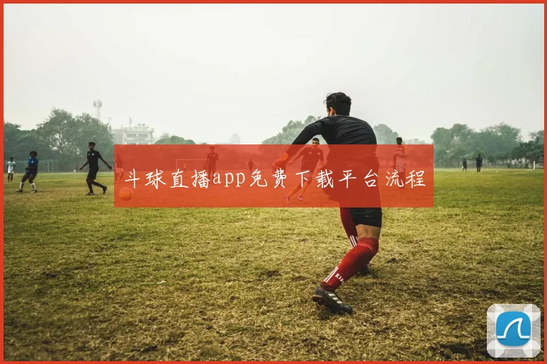 斗球直播app免费下载平台流程