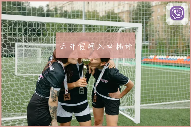 云开官网入口插件