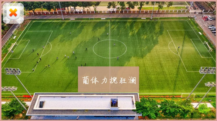 葡体力挽狂澜
