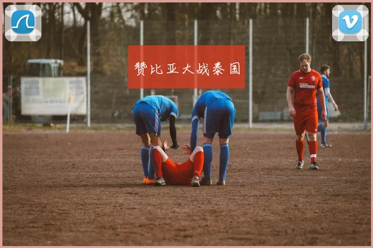 赞比亚大战泰国
