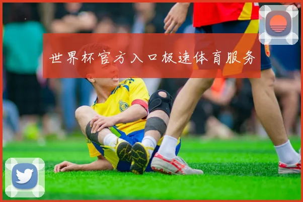 世界杯官方入口极速体育服务
