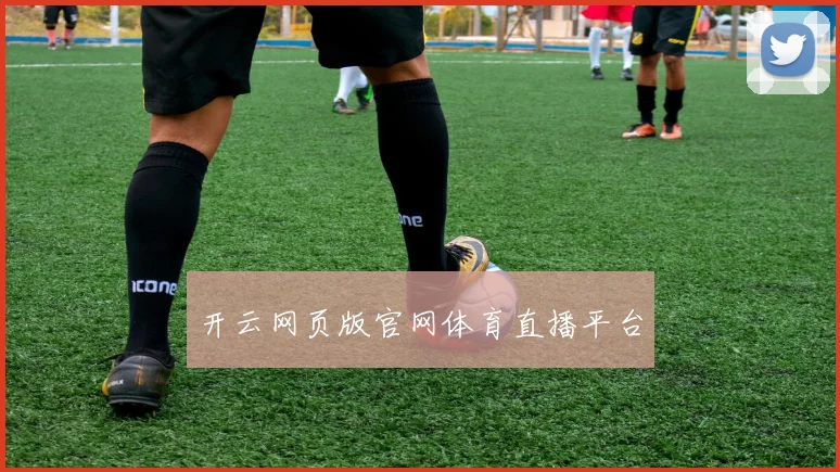 开云网页版官网体育直播平台