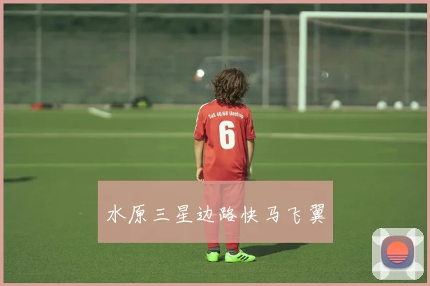 水原三星边路快马飞翼