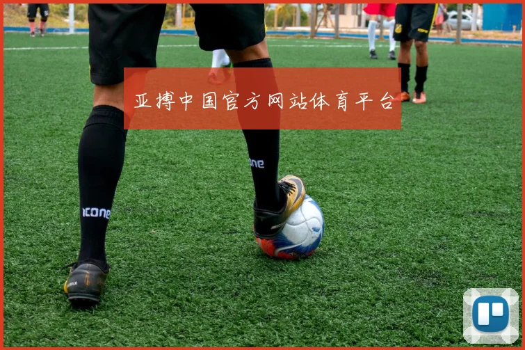 亚搏中国官方网站体育平台