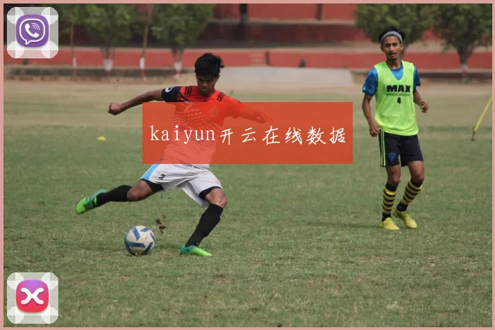 kaiyun开云在线数据