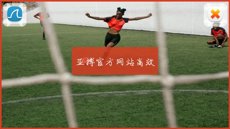 亚搏官方网站高效
