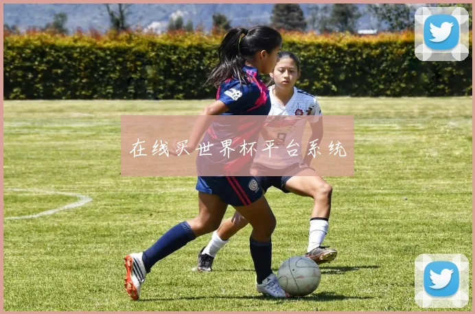 在线买世界杯平台系统