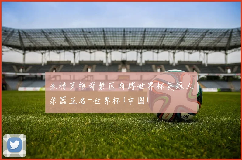 米特罗维奇禁区肉搏世界杯英冠大杀器正名-世界杯(中国)