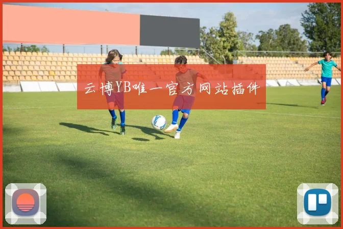 云博YB唯一官方网站插件