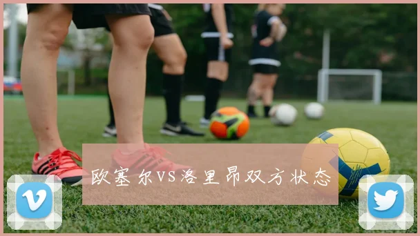欧塞尔vs洛里昂双方状态