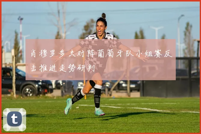 肖穆罗多夫对阵葡萄牙队小组赛反击推进走势研判