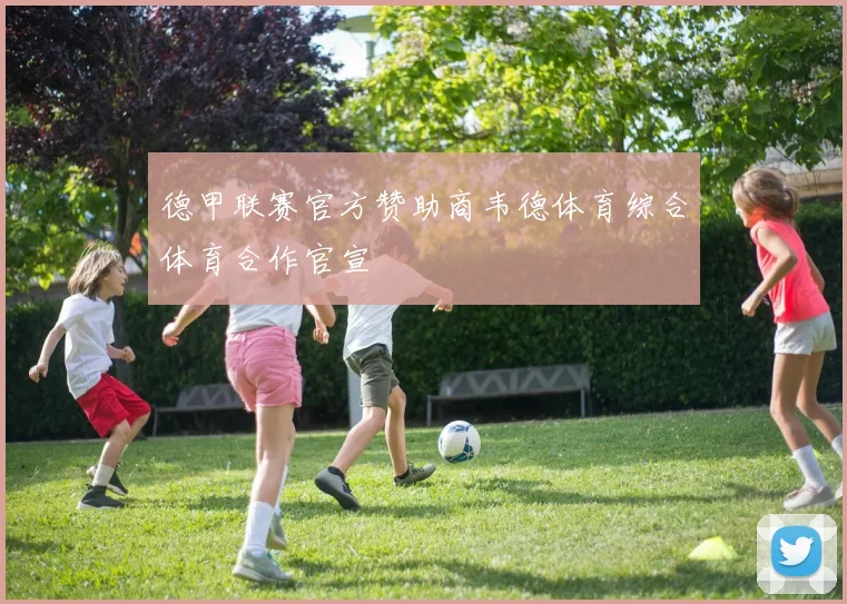德甲联赛官方赞助商韦德体育综合体育合作官宣