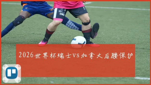 2026世界杯瑞士vs加拿大后腰保护